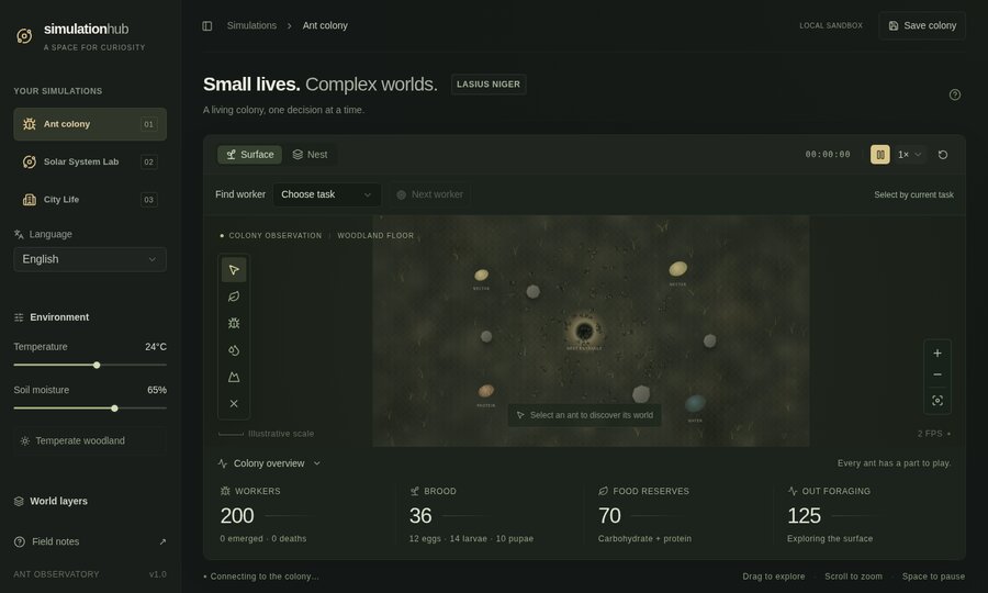 Simulation Hub — an ant colony simulation with environment controls