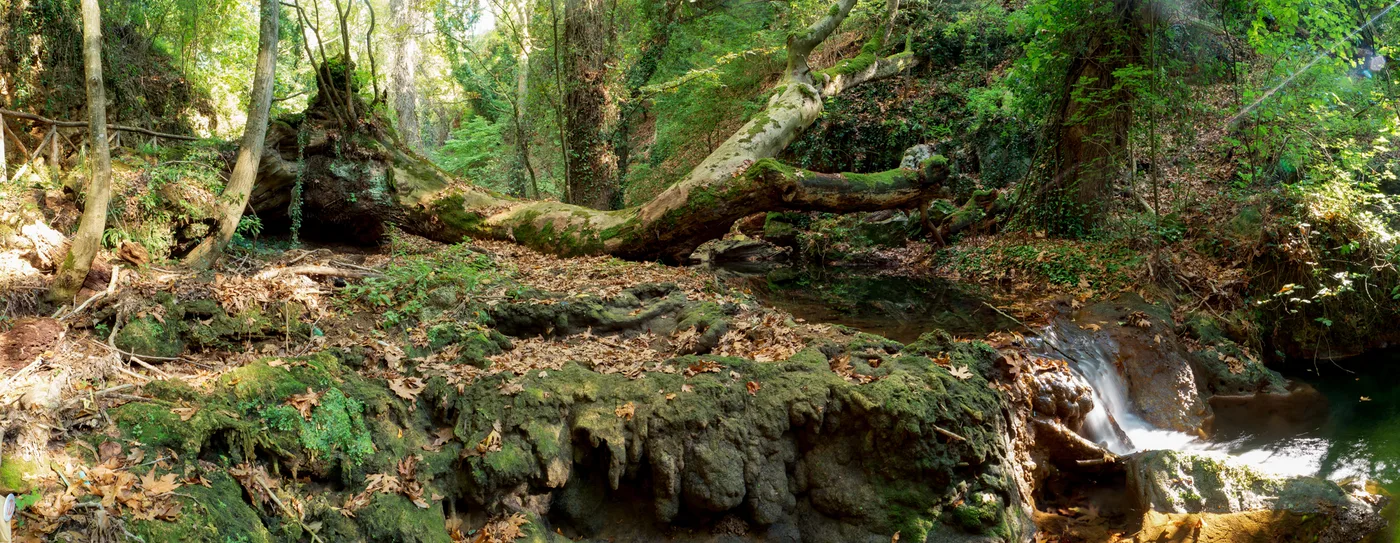 Palia Kavala stream