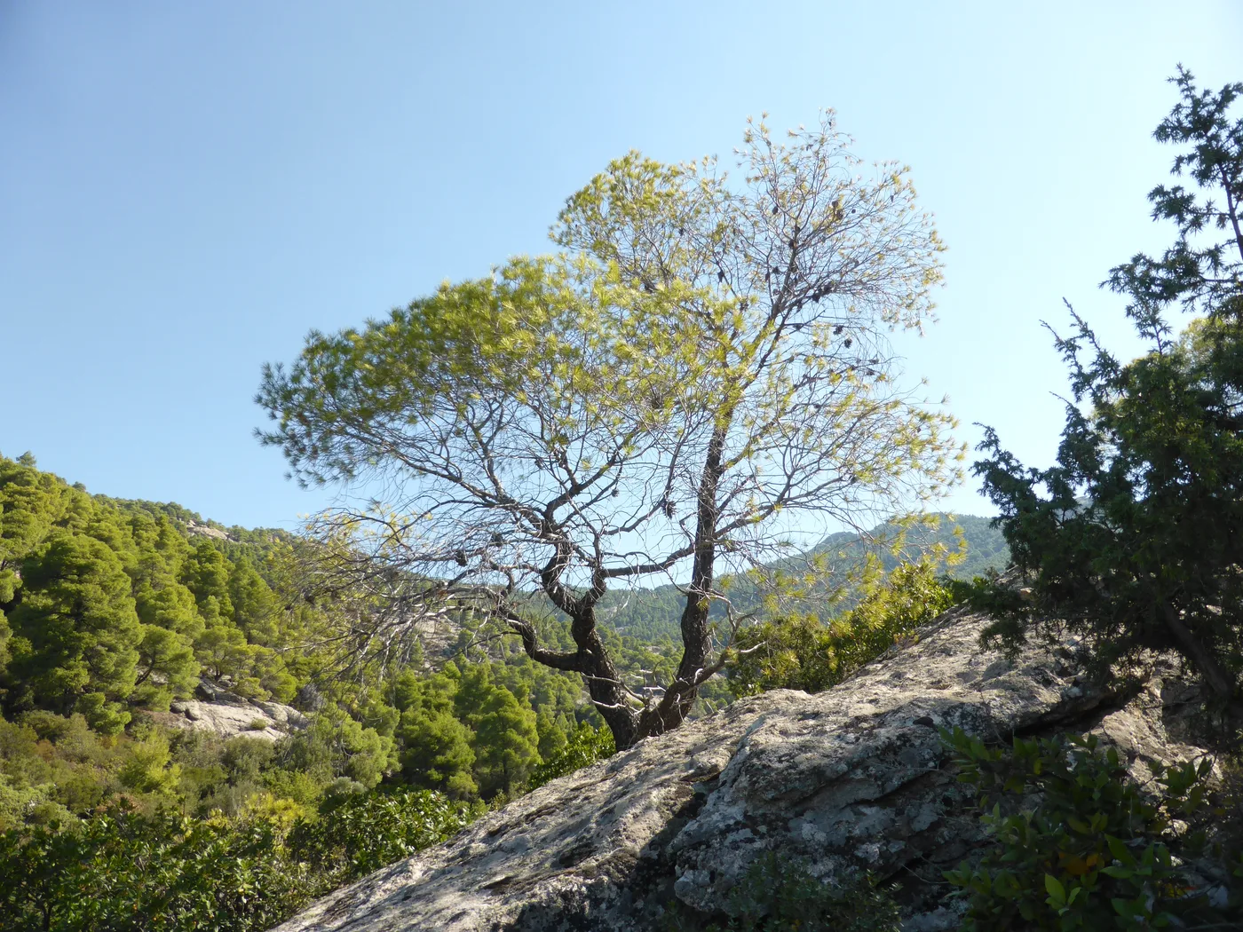 Landscape near Parthenonas — regional landscape